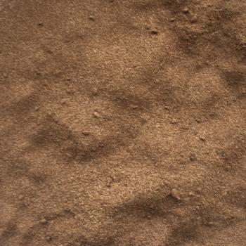 Preview: Ashoka Churna