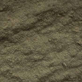 Preview: Bringaraj Churna