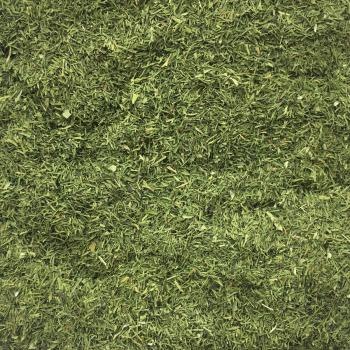 Dill Spitzen gerebelt