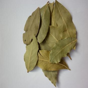 Preview: Lorbeerblätter ganz