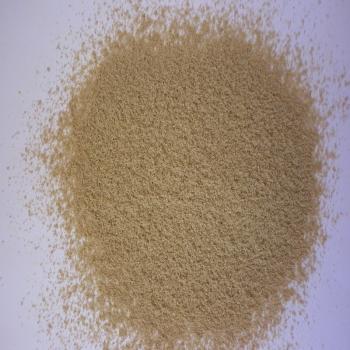 Fenchel süß grün gemahlen