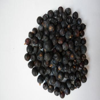 Preview: Wacholderbeeren ganz