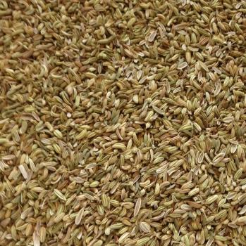 Fenchel süß grün ganz