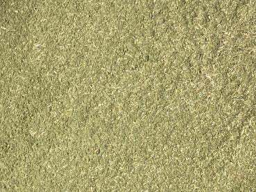 Kalmegh Churna bio 100g