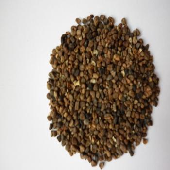 Kardamom ohne Schale ganz