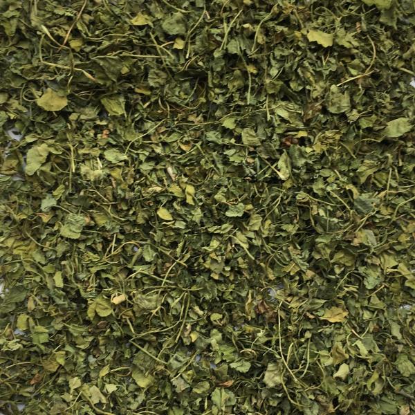 Bockshornklee Blätter ganz