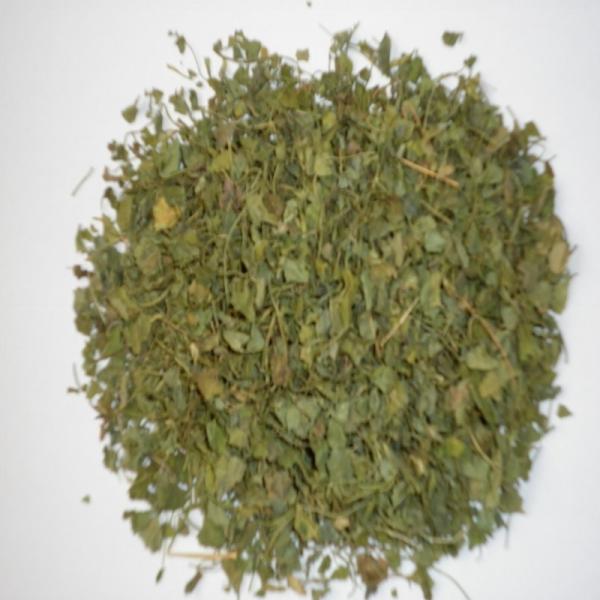 Bockshornklee Blätter ganz