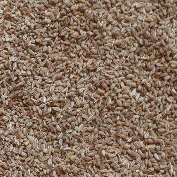 Ajwain - Ajowan ganz