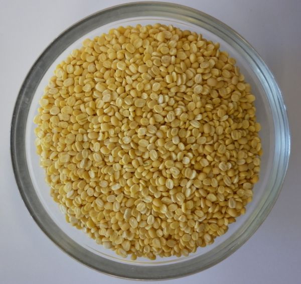 Mung Dal gelb - Mungbohnen geschält gespalten bio | Seyfrieds Naturwaren Mung Dal gelb - Mungbohnen geschält gespalten bio | Seyfrieds Naturwaren