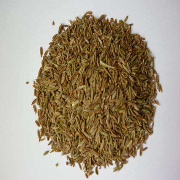 Kreuzkümmel Cumin ganz