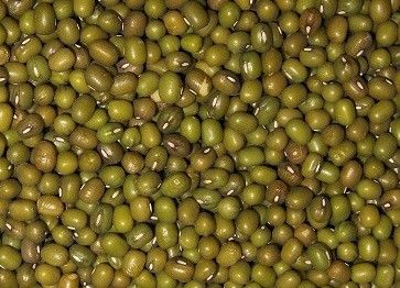 Mung Dal grün - Mungbohnen keimfähig