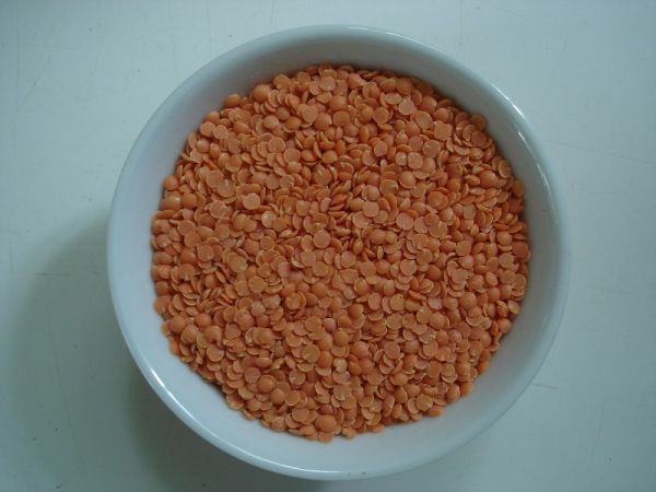 Linsen rot