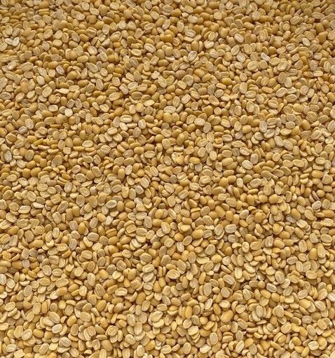 Bio Mung dal, gelb, geschält