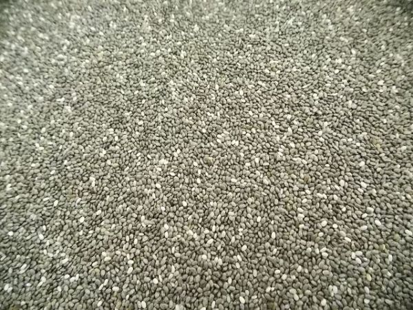 Chia Samen