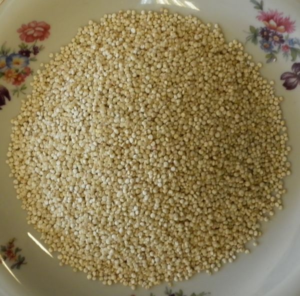 Quinoa weiß